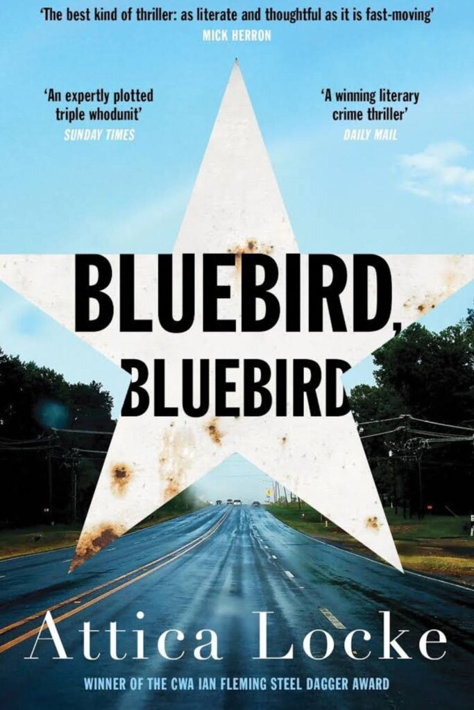 Cover of Bluebird, Bluebird by Attica Locke