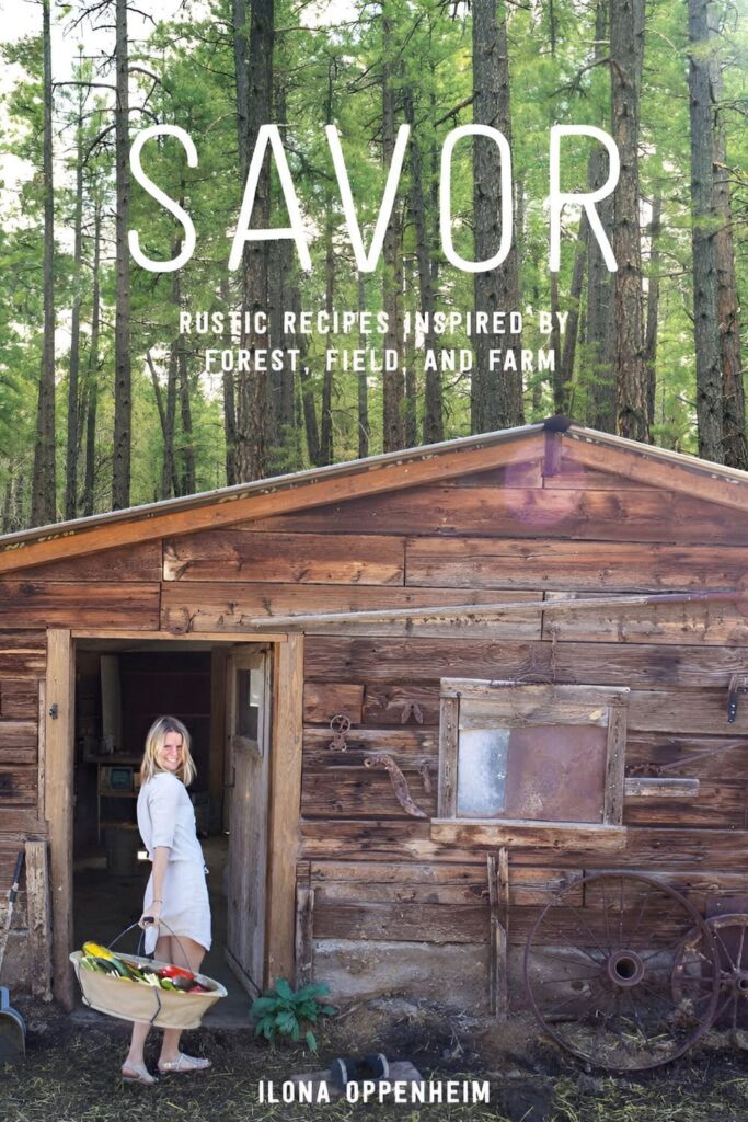 Cover of Savor by Ilona Oppenheim